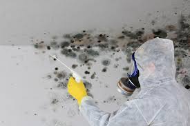 Forensic Mold Investigation